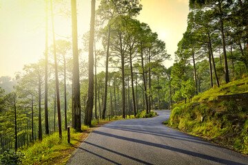 5 Days Nainital, Ranikhet & Kaushani Tour